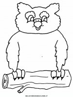 disegni_animali/bosco/civetta_1.JPG