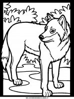 disegni_animali/bosco/color-wolf.JPG
