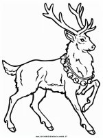 disegni_animali/bosco/deer5.JPG
