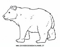 disegni_animali/bosco/orsobruno9650.JPG