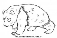 disegni_animali/bosco/panda9650.JPG