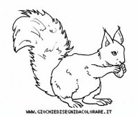 disegni_animali/bosco/scoiattolo39650.JPG