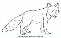 disegni_animali/bosco/volpe_29650.JPG