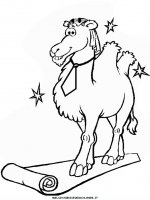 disegni_animali/cammello/camel10.JPG