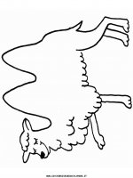 disegni_animali/cammello/camel2.JPG