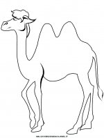 disegni_animali/cammello/camel3.JPG