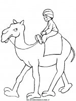 disegni_animali/cammello/camel5.JPG