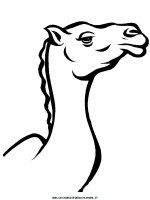 disegni_animali/cammello/camel6.JPG