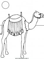 disegni_animali/cammello/camel7.JPG