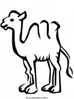 disegni_animali/cammello/camel8.JPG