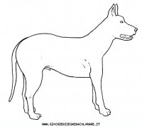 disegni_animali/cane/cane_c0001.JPG