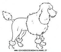 disegni_animali/cane/cane_c0002.JPG