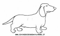 disegni_animali/cane/cane_c0003.JPG