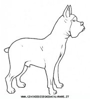 disegni_animali/cane/cane_c0004.JPG