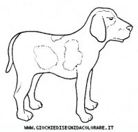 disegni_animali/cane/cane_c0005.JPG