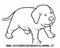 disegni_animali/cane/cane_c0007.JPG