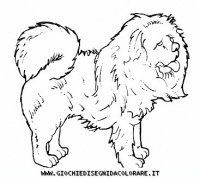 disegni_animali/cane/cane_c0010.JPG