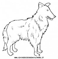 disegni_animali/cane/cane_c0012.JPG