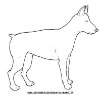 disegni_animali/cane/cane_c0013.JPG