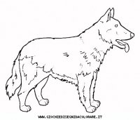 disegni_animali/cane/cane_c0017.JPG