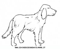 disegni_animali/cane/cane_c0019.JPG