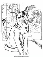 disegni_animali/cane/cani_gatti_c11.JPG