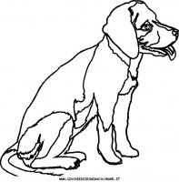 disegni_animali/cane/cani_gatti_c16.JPG