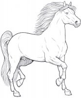 disegni_animali/cavallo/cavallo_1.jpg