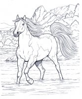 disegni_animali/cavallo/cavallo_12.jpg