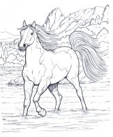disegni_animali/cavallo/cavallo_12.jpg