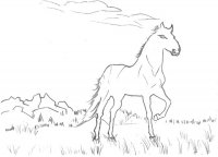 disegni_animali/cavallo/cavallo_18.jpg