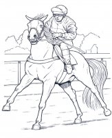 disegni_animali/cavallo/cavallo_19.jpg