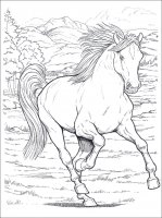 disegni_animali/cavallo/cavallo_2.jpg