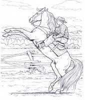 disegni_animali/cavallo/cavallo_20.jpg
