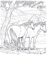 disegni_animali/cavallo/cavallo_4.jpg