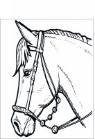 disegni_animali/cavallo/cavallo_44.jpg