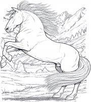 disegni_animali/cavallo/cavallo_6.jpg