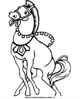 disegni_animali/cavallo/cavallo_cavalli_10.JPG