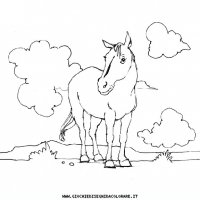 disegni_animali/cavallo/cavallo_cavalli_14.JPG