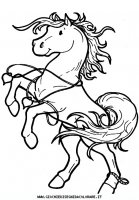 disegni_animali/cavallo/cavallo_cavalli_20.JPG