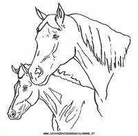 disegni_animali/cavallo/cavallo_cavalli_26.JPG