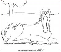 disegni_animali/cavallo/cavallo_cavalli_28.JPG