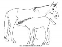 disegni_animali/cavallo/cavallo_cavalli_3.JPG