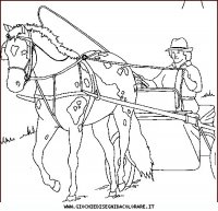disegni_animali/cavallo/cavallo_cavalli_30.JPG