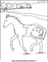 disegni_animali/cavallo/cavallo_cavalli_32.JPG
