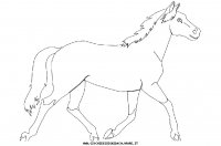 disegni_animali/cavallo/cavallo_cavalli_36.JPG