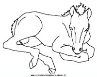 disegni_animali/cavallo/cavallo_cavalli_4.JPG