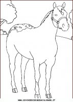 disegni_animali/cavallo/cavallo_cavalli_43.JPG