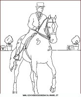 disegni_animali/cavallo/cavallo_cavalli_45.JPG
