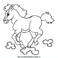 disegni_animali/cavallo/cavallo_cavalli_48.JPG